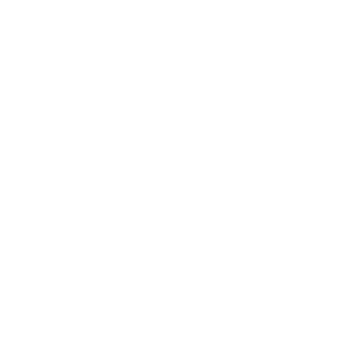 Social Icon