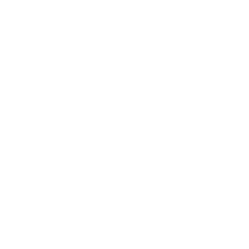 Social Icon